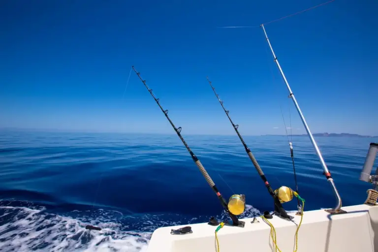 PCB Fishing Rodeo 